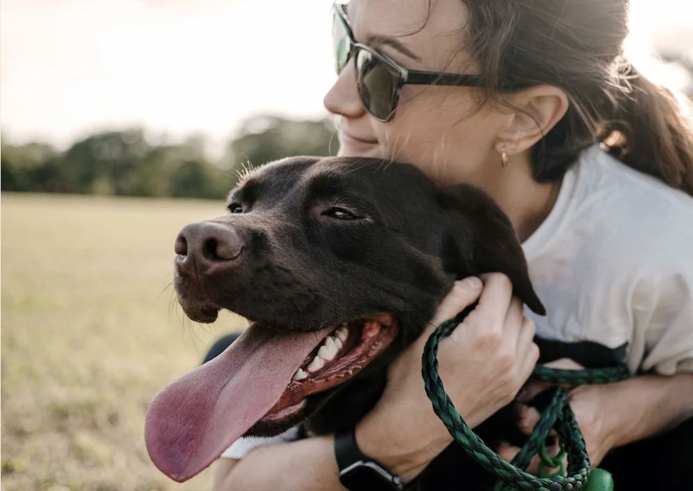 A woman in sunglasses embracing a black Labrador outdoors in a field at golden hour, holding a green leash.
